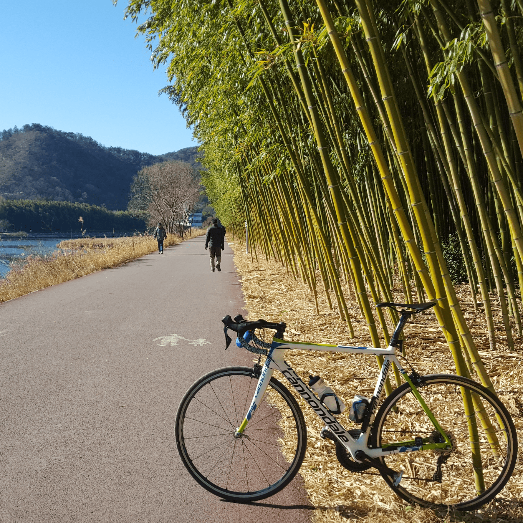 Busan – Ulsan – Routes Busan 루트 부산