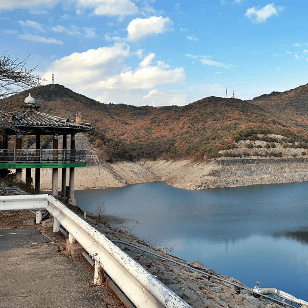 Pat Local Legends Cheontaeho Routes Busan